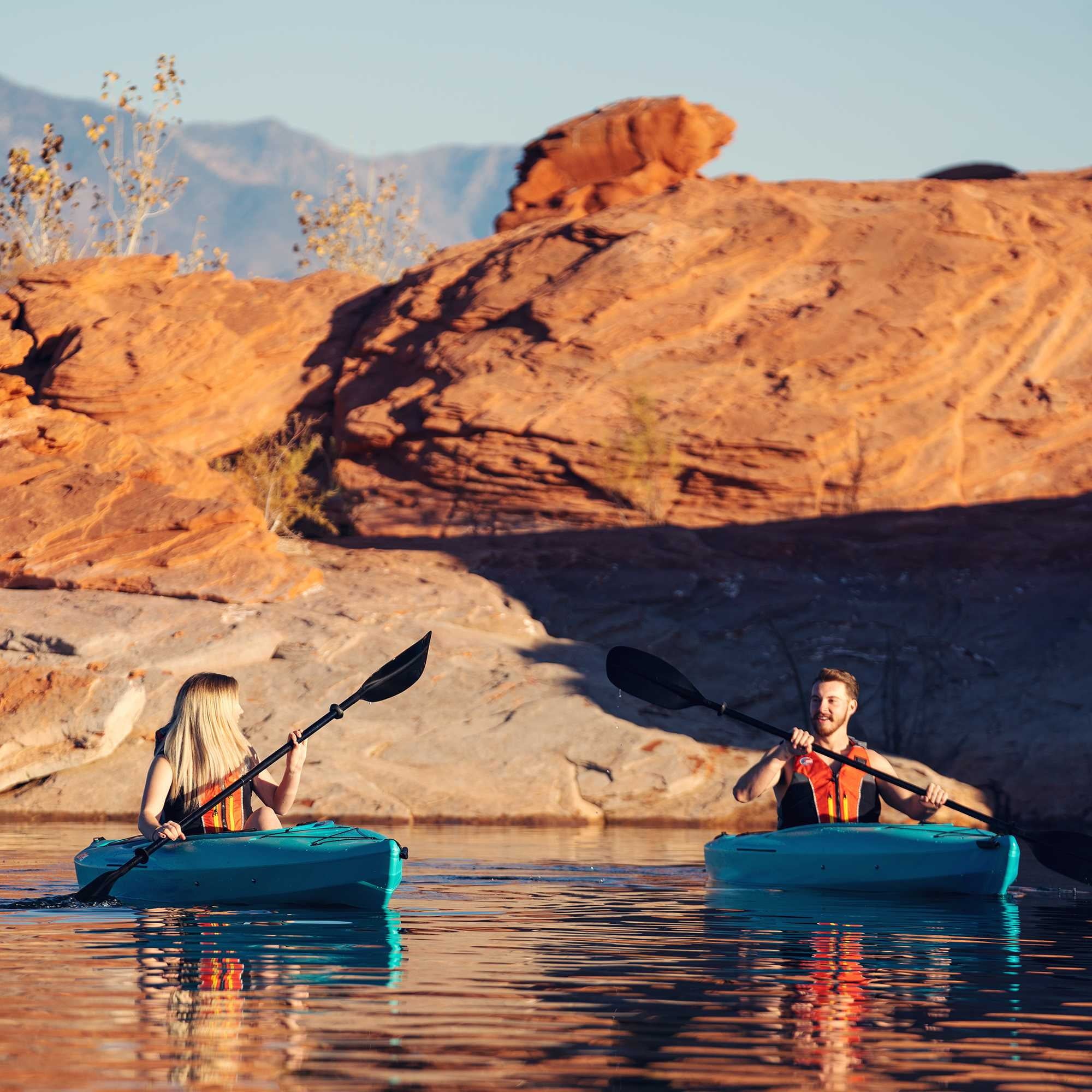 Lifetime Guster 10 ft Sit-Inside Kayak with Paddle, Emerald Fusion (91354)